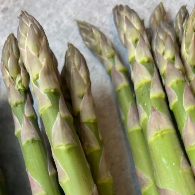 Asparagus
