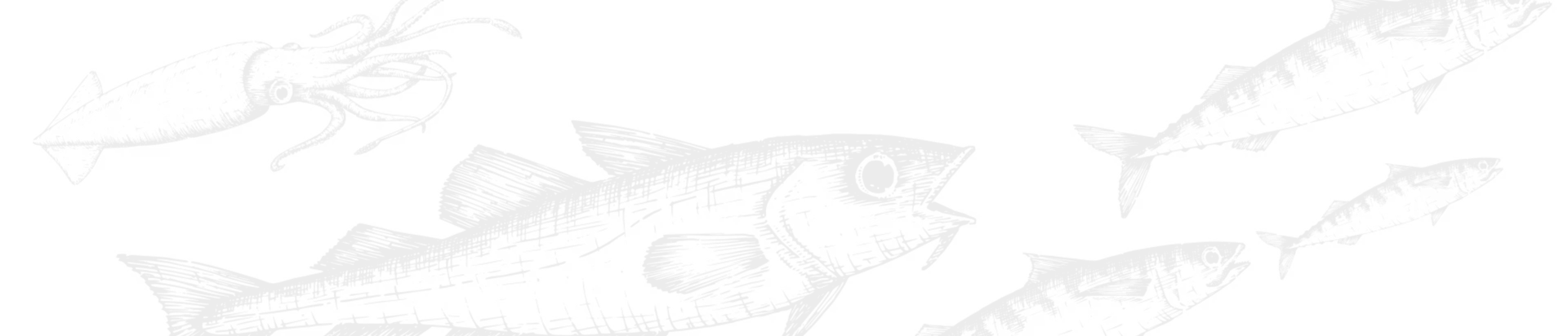 Fish illustration